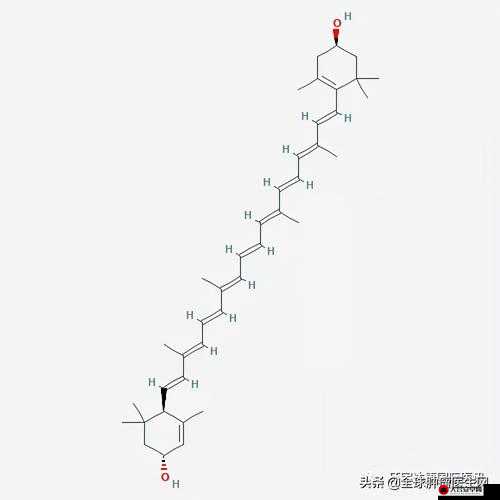 钙 G 同 2023 ：探索其在现代生活中的独特价值与应用场景