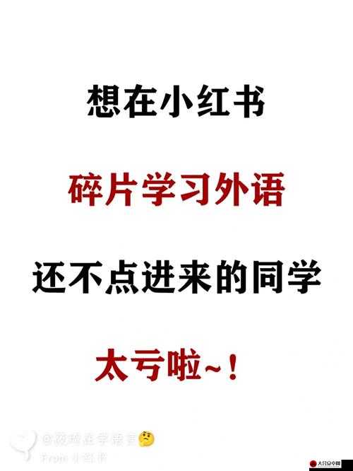 全面解析最新更新内容，新增功能与改进细节一网打尽